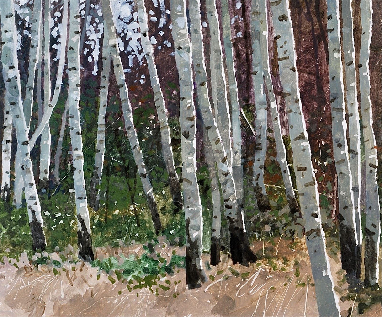 Watercolour Silver Birches